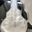 Gibson Les Paul Longhorn  Guitar Of De Mont 2008