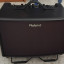 Roland AC-60
