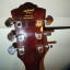 RESERVADA Guitarra DeArmond - Guild M75t