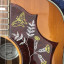 OFERTA !! Gibson Hummingbird HCS
