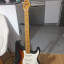 Fender Stratocaster 1982  Dan Smith