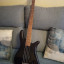 Bajo Spector NS-2000B (1998-2002)