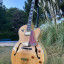 Epiphone Joe Pass Emperor II