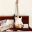 Fender Stratocaster Avri54 2014 CAMBIOS