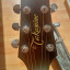 Takamine f340s