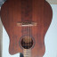 RANDON RGI-10VT Dreadnought