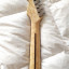 Mástil Stratocaster Birdseye