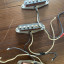 Pastillas Fender Custom Shop Abigail Ybarra