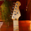 Fenix Stratocaster //RESERVADA\\