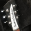 RICKENBACKER 330JG