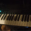 Roland Alpha Juno 2 + Juno CTRL + RK 002 Arpegiador + Emu Vintage Keys Plus