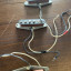 Pastillas Fender Custom Shop Abigail Ybarra