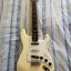 Fender stratocaster
