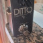 Ditto Looper  TC electronic