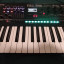 Vendo Korg Opsix mki v.2.0.1.