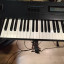 ROLAND A-80  Teclado Piano Maestro Controlador