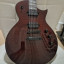 Esp ltd ec 1001 deluxe tiger eye