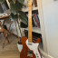 Squier Telecaster Classic Vibe Thinline 2024 cambio tb