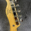 2014 Squier Vintage Modified Cabronita Telecaster con Bigsby