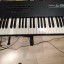 ROLAND A-80  Teclado Piano Maestro Controlador