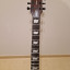 Esp ltd ec 1001 deluxe tiger eye