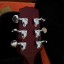 Hamer Artist Mahogany. P90. Custom shop.VIDEO.CAMBIOS.