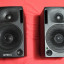 Monitores de estudio Genelec 1029A