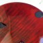 Gibson Les Paul Studio Wine Red/Cambio por superstrat