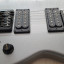 Kiesel/carvin hh 2(impecable)