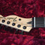 Fender Signature  Jim root