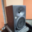 2 Monitores Neumann KH 120A