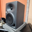 2 Monitores Neumann KH 120A