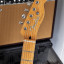 Fender Telecaster BAJA butterscotch