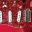 Fender Stratocaster (American Standard + Reverse Voodoo Neck)
