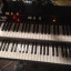 Crumar Mojo pack