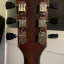 VENDO O CAMBIO POR IBANEZ, Gibson SGJ Rubbed Chocolate, comprada en Ardemadrid en 2014.