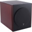 Focal Twin 6 be red burr ash
