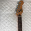 Guitarra STRATOCASTER FENIX