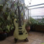 Suhr Modern Guthrie Govan Specs