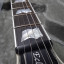 ESP Eclipse CTM Custom Shop