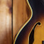 Ibanez Joe Pass JP-20