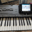 Korg PA3X Professional Arranger
