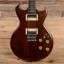 Aria Pro II Cardinal Series CS 250.