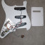 Golpeador stratocaster completo pastillas wilkinson