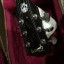 VENDO/CAMBIO Gibson Les Paul Standard del año 2000