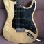 Stratocaster con cuerpo Vintage v6 fresno Mastil squier palorrosa