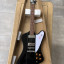 Tokai firebird