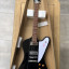 Tokai firebird