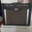 Peavey Envoy110