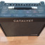 Amplificador Catalyst 60